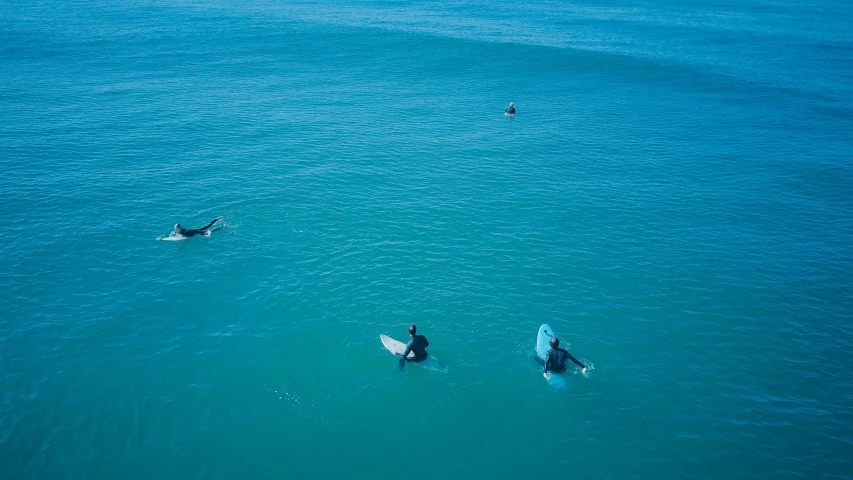 a group of people paddling on their surf boards in the water