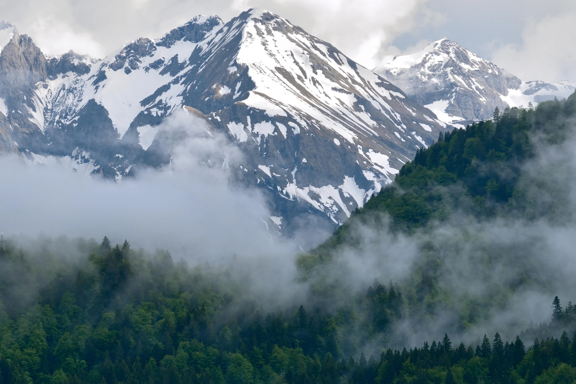 mountains with snow and green trees on both sides of them