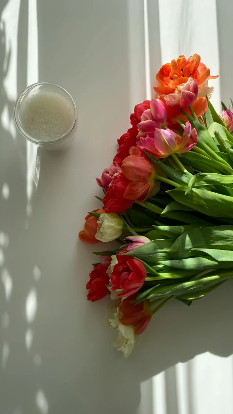 red, orange and pink flowers on a white background