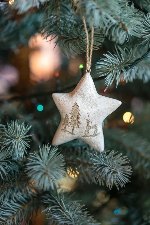 small wooden star ornament hanging from a fir tree