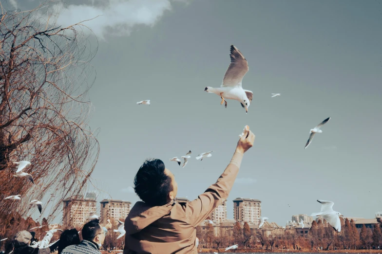 there is a man reaching up for seagulls