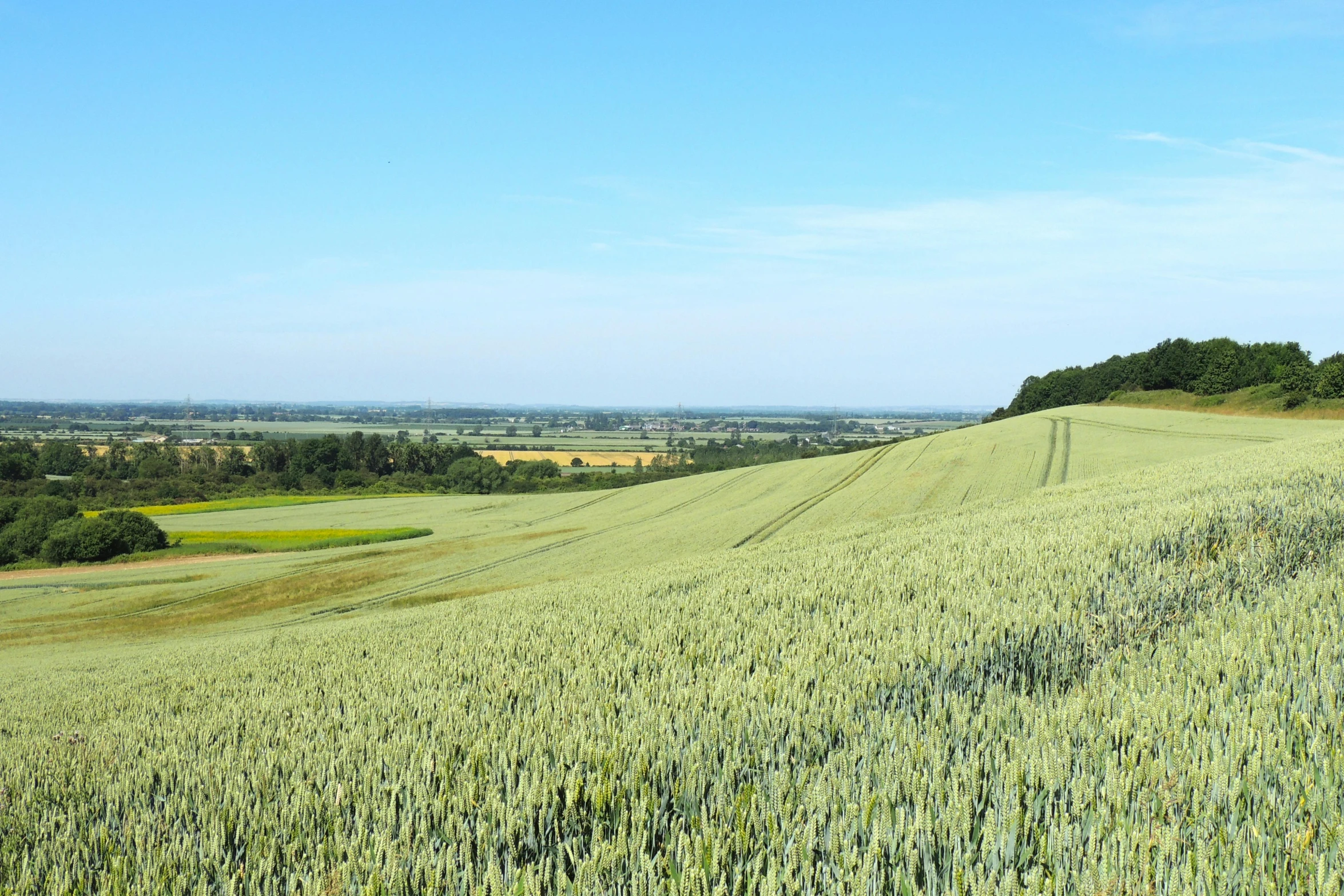 an open field with some trees in the distance