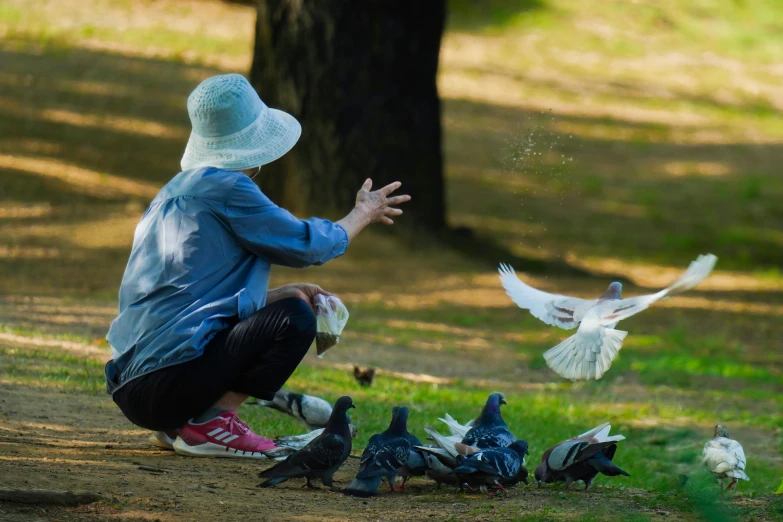 child feeding a bunch of pigeons on a park