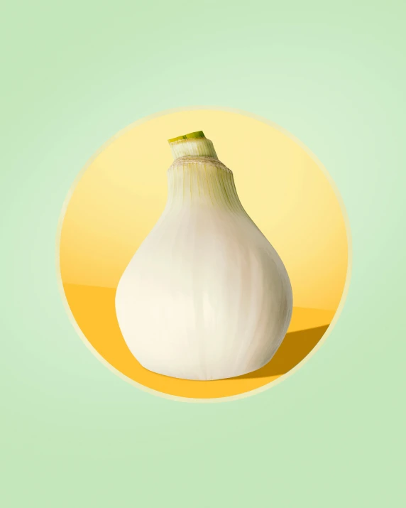 an image of an onion in the middle of the frame