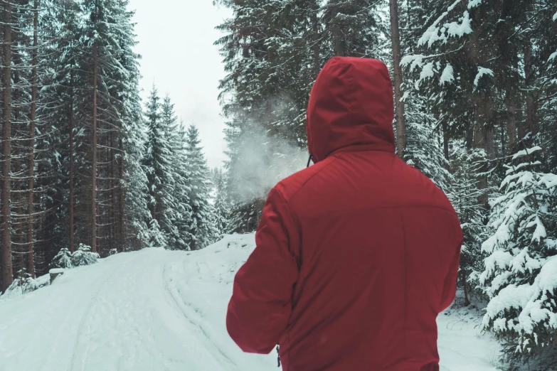 person wearing red jacket on snow covered mountain trail