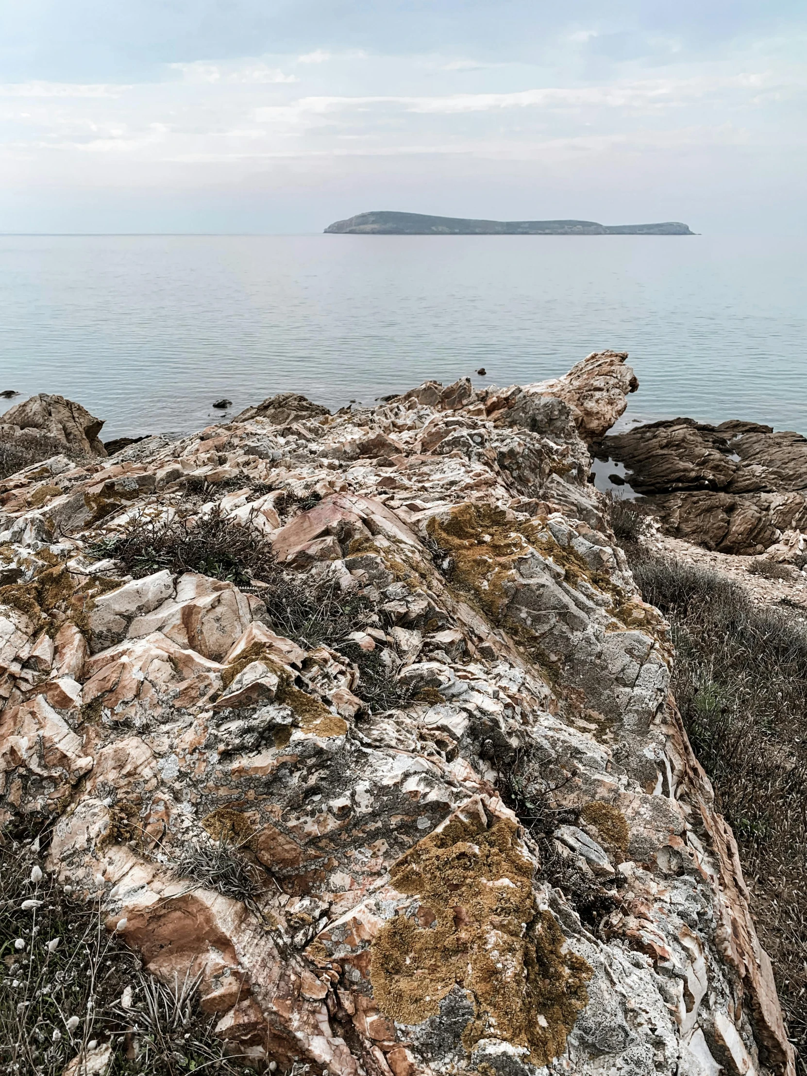 a rock covered in grass and plants by the ocean