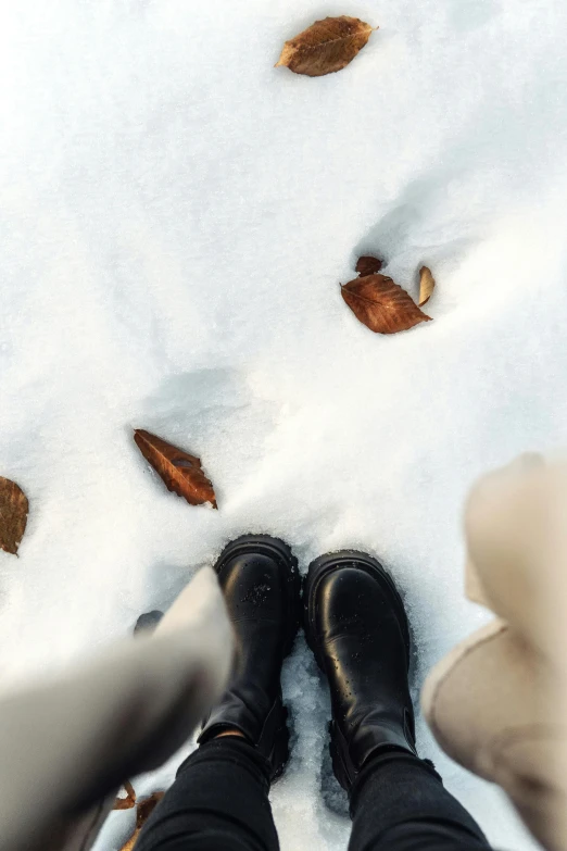 the top view of the feet and shoes of a person in winter gear