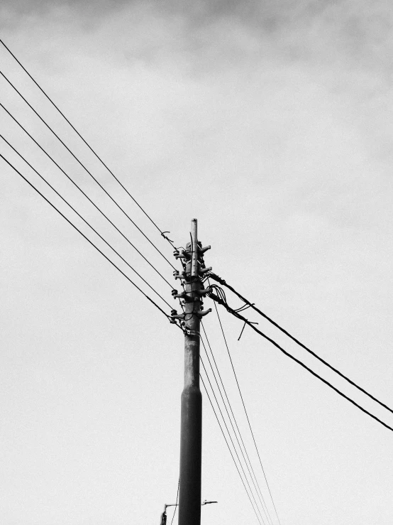 black and white pograph of telephone pole and wires