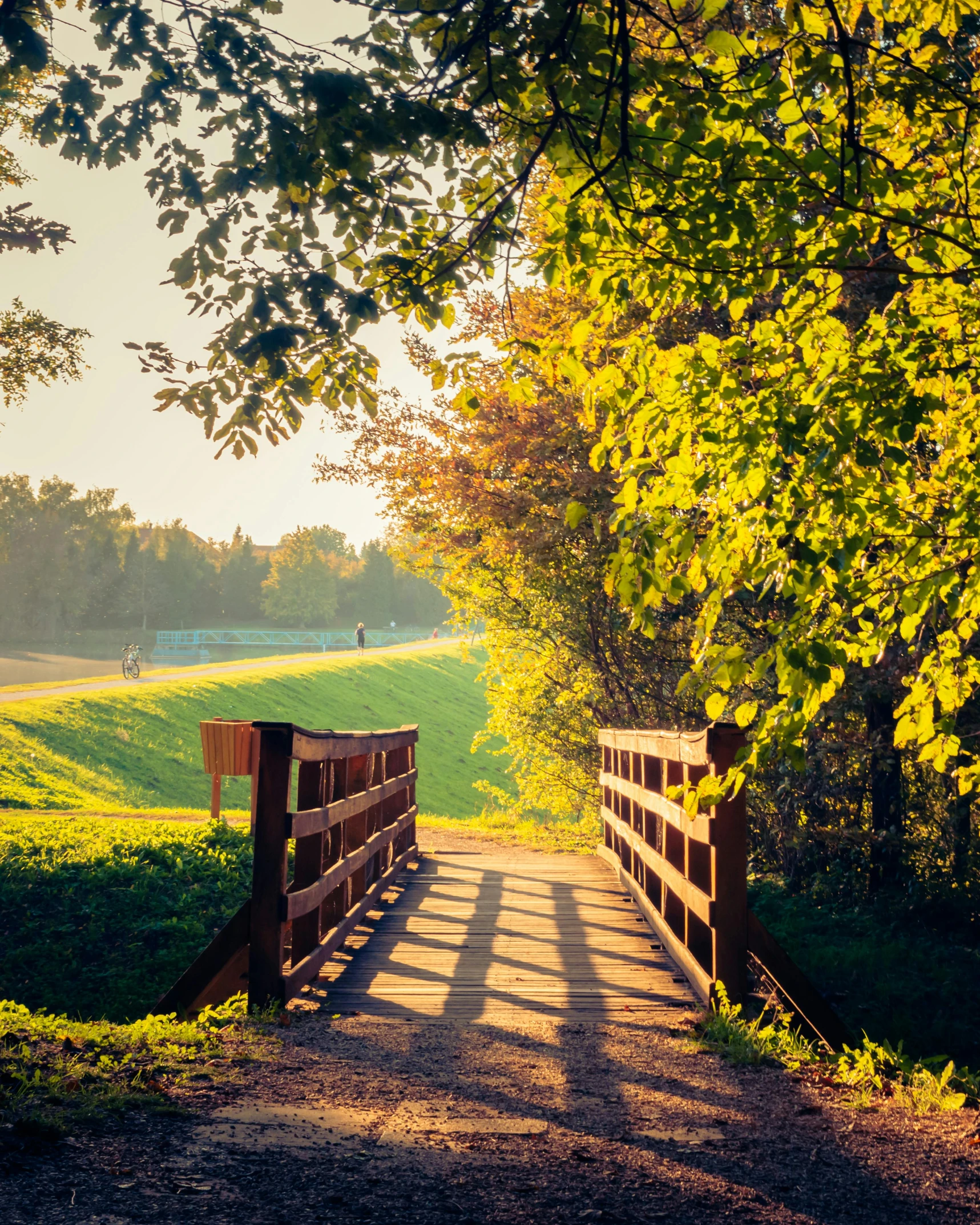 a park setting with a bridge, two benches and a field