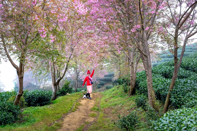 the woman in red jacket is walking her dog down the path