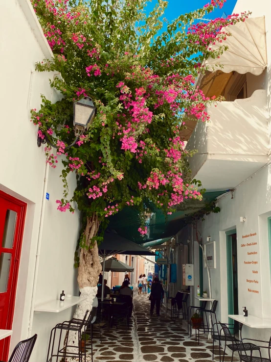 an alleyway with tables and chairs covered by umbrellas