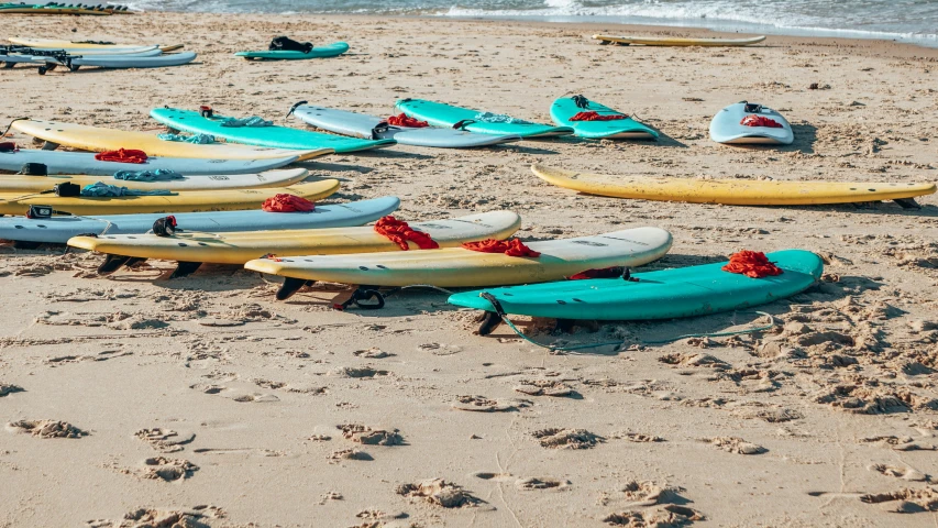 surfboards lie on the beach in front of the ocean