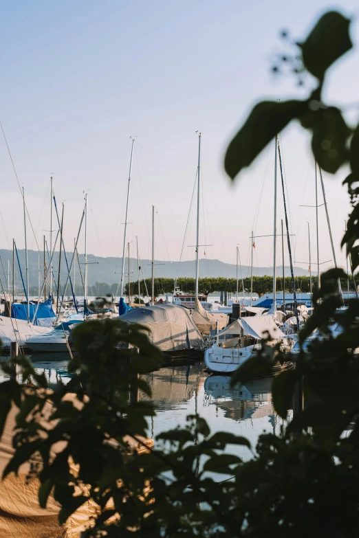 many boats at the marina on clear day