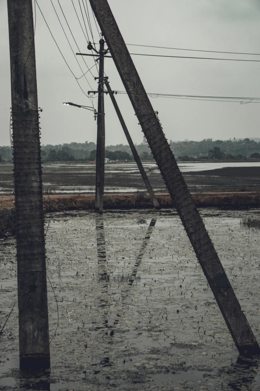 an upside down telephone pole in a flooded field