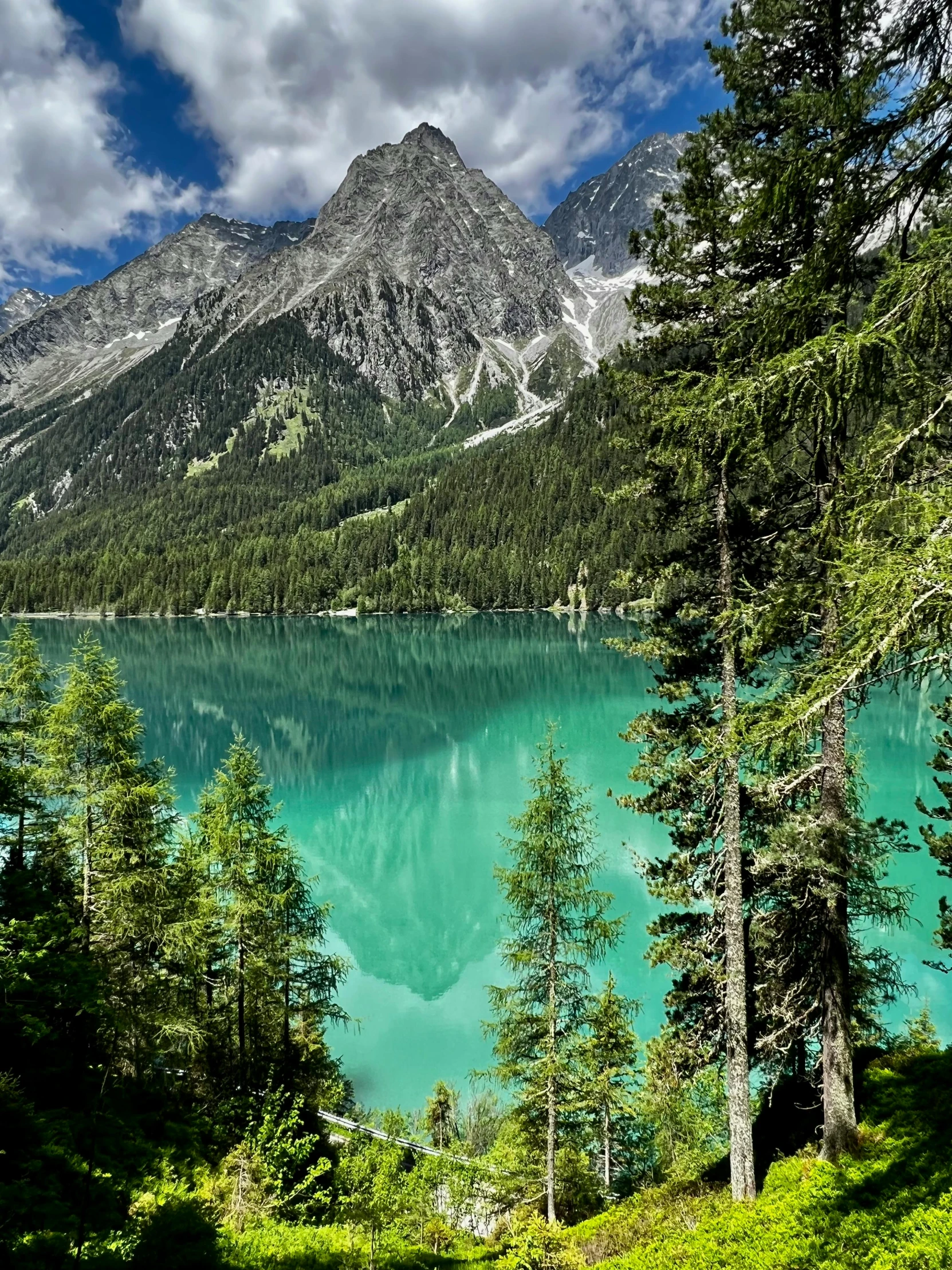 a body of water surrounded by trees with a mountain in the background