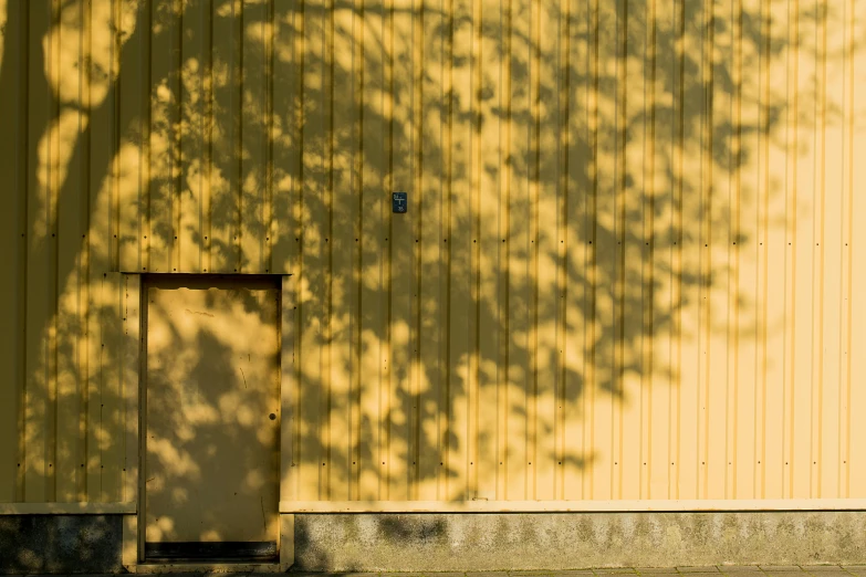 a close up of a building with the shadow of a tree