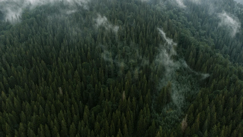 the sky is full of clouds and trees