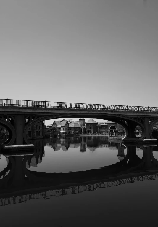 the bridge is built in the shape of a tree