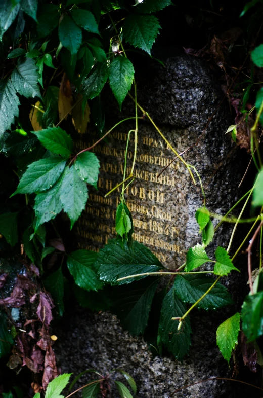 the names on the stone are of some sort