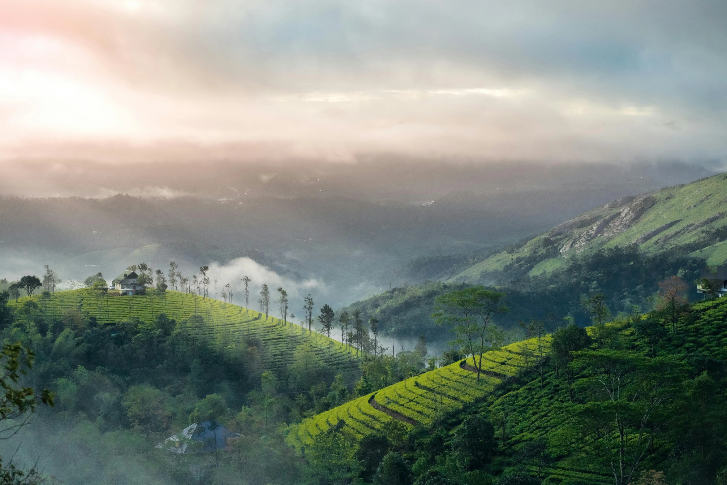 a view of a forest and mountains from a hill top