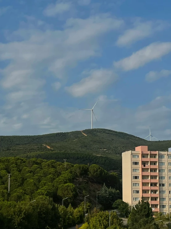 a hill that has a house and trees in it