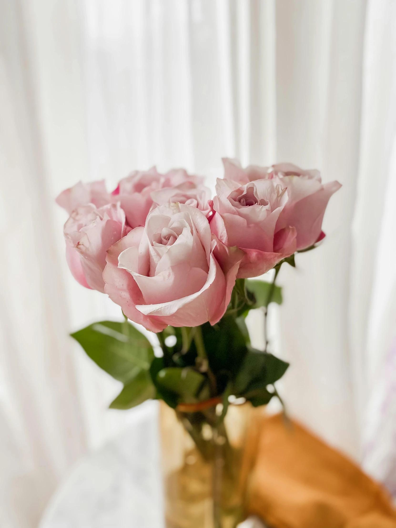 the pink roses are blooming out from the center of the vase