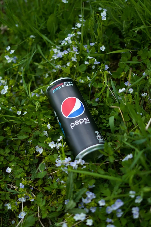 an empty soda can is placed in a patch of grass
