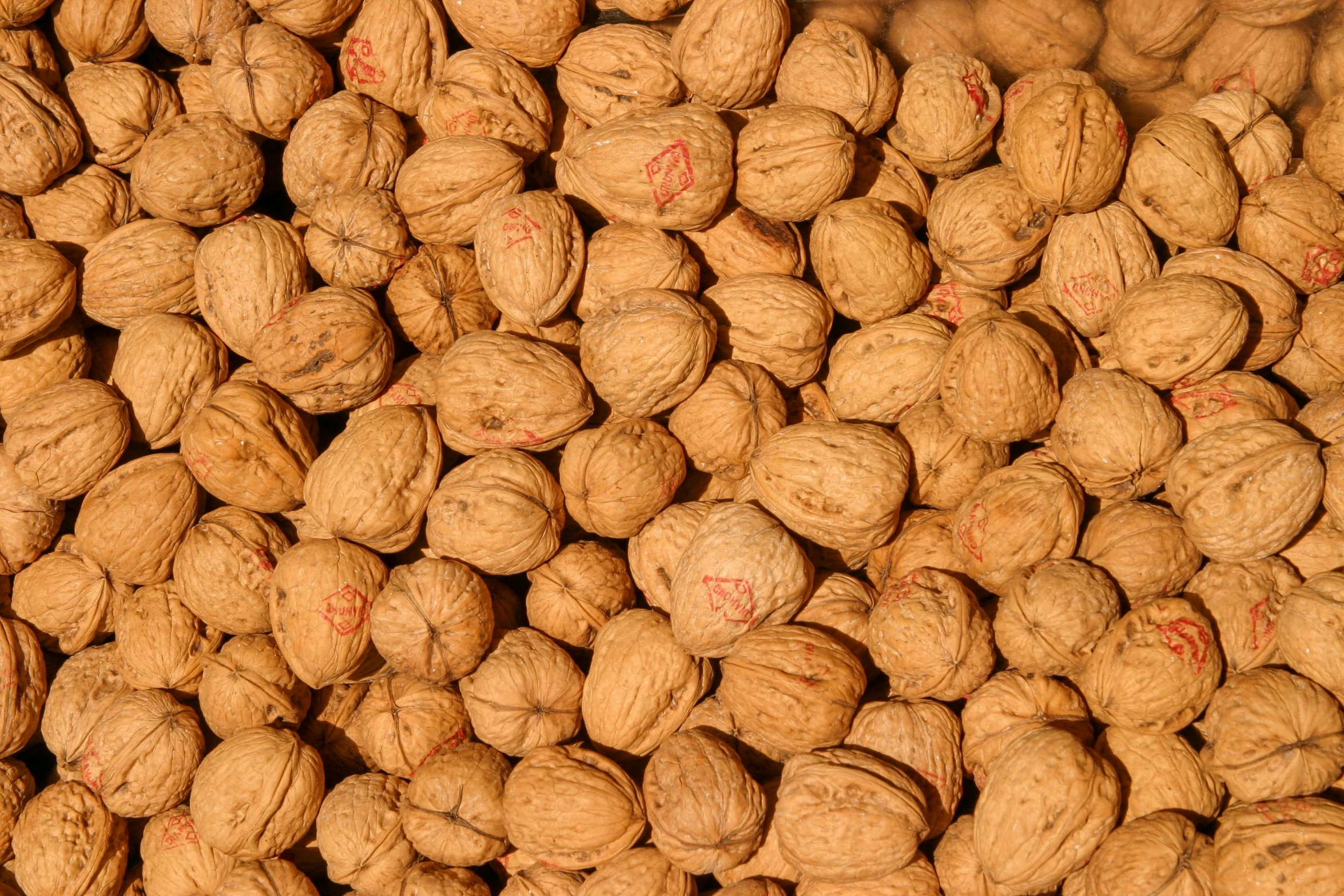 close up view of nuts displayed with text