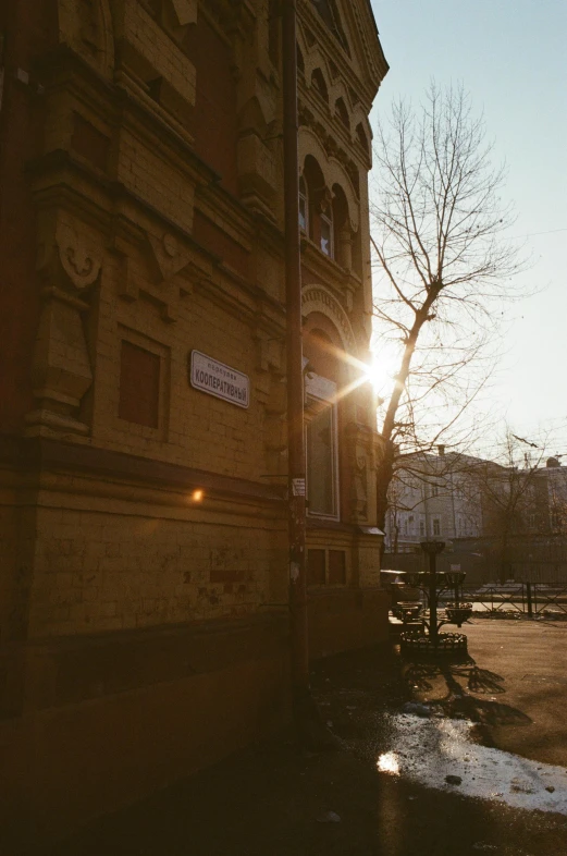 sun shining on a brick building near a tree