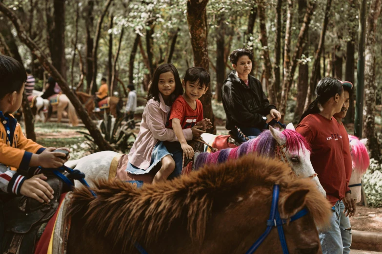 some children are riding a horse in the forest