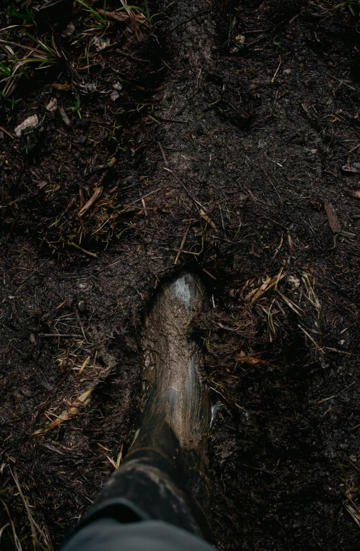 looking down at the ground and the top part of a foot