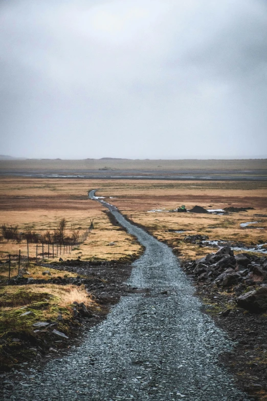 an empty road is crossing the fields to get to where there is grass