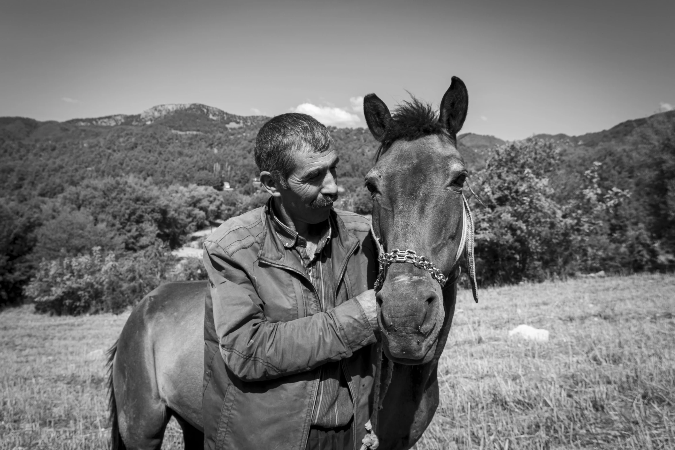 black and white pograph of man standing next to a horse