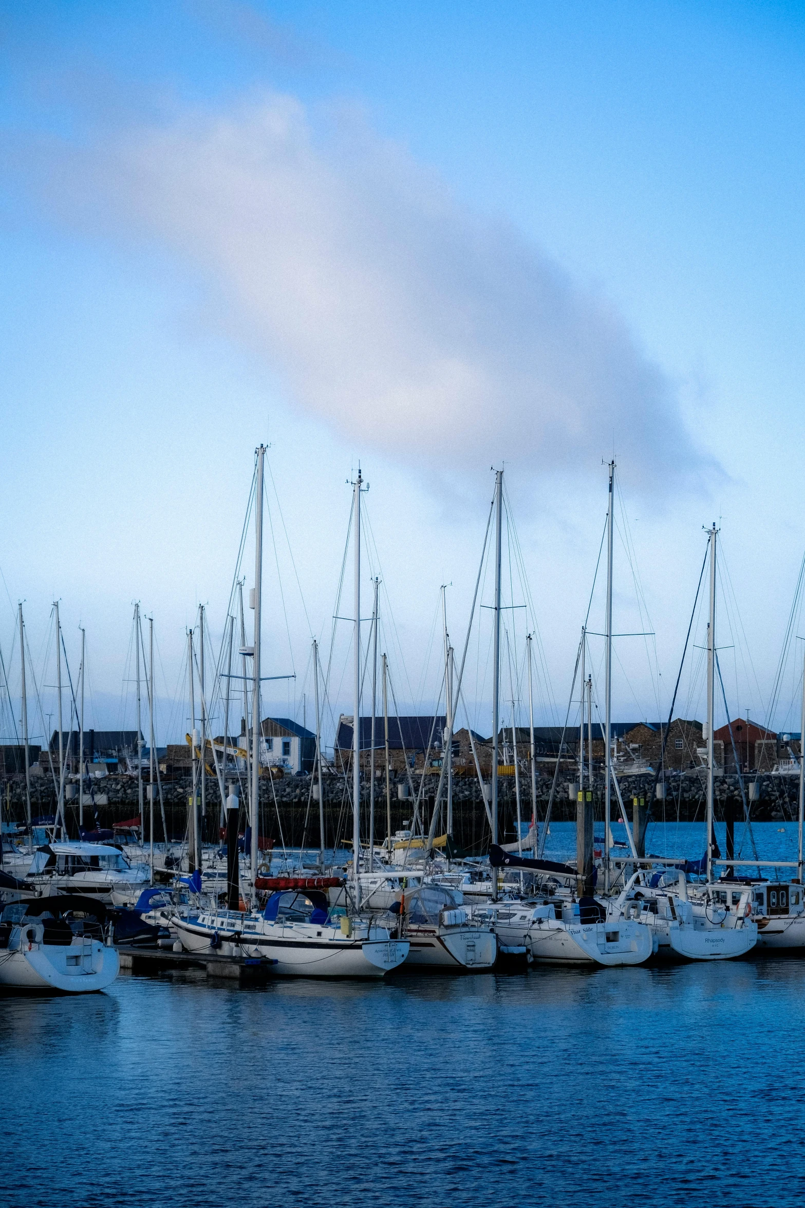 a group of sail boats are in the water