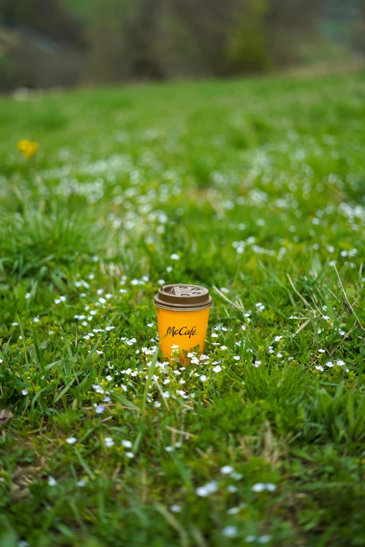 a tiny, cup filled with honey sitting in the middle of a field