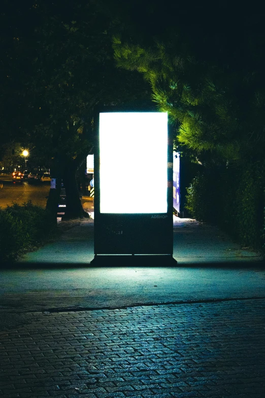 a white screen sits on the sidewalk in front of a group of trees