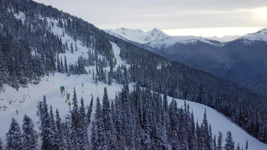 a snowy mountain slope filled with snow covered pine trees