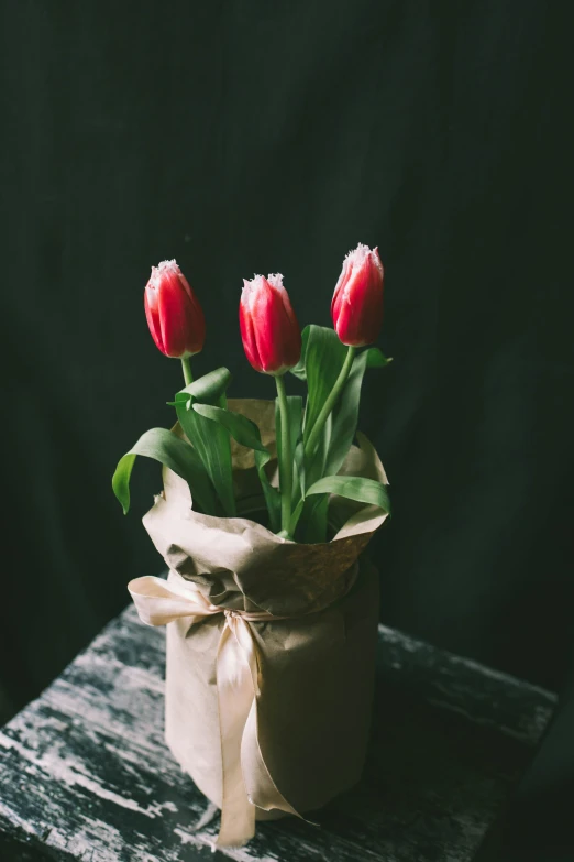 some red tulips sitting inside of a brown bag