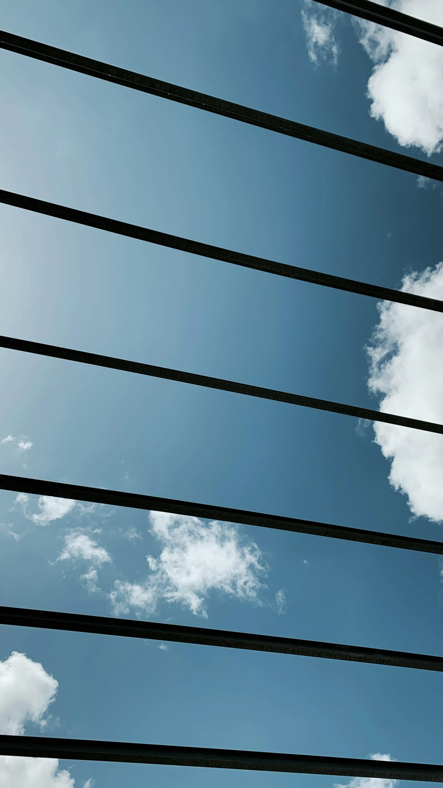 a telephone wire is being watched by a plane