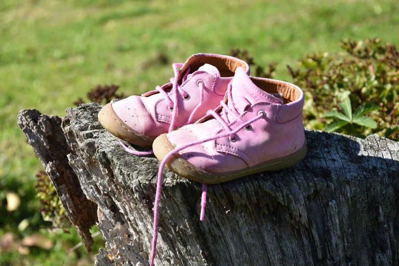 a pair of pink children's shoes on a log