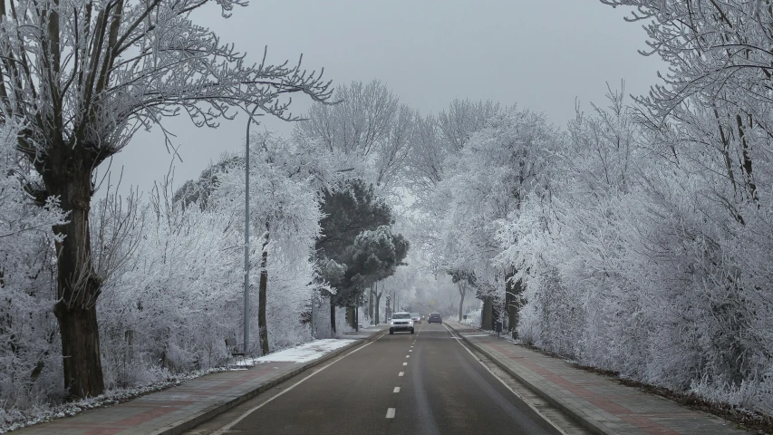 the view down a snowy, two lane street