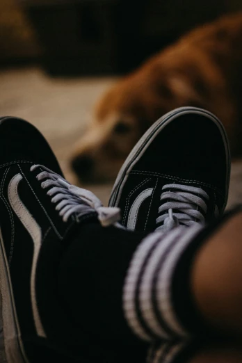 person wearing striped socks and black tennis shoes sitting with a dog on carpet