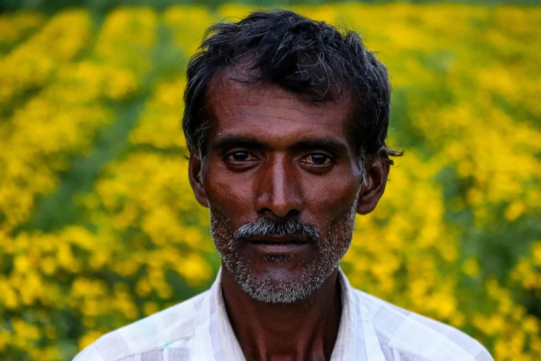 a man standing in a field full of yellow flowers