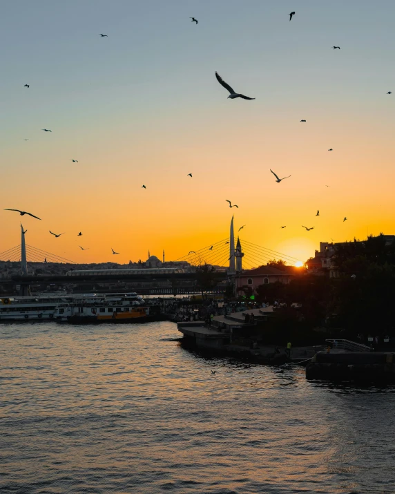 a large group of birds flying around the city at sunset