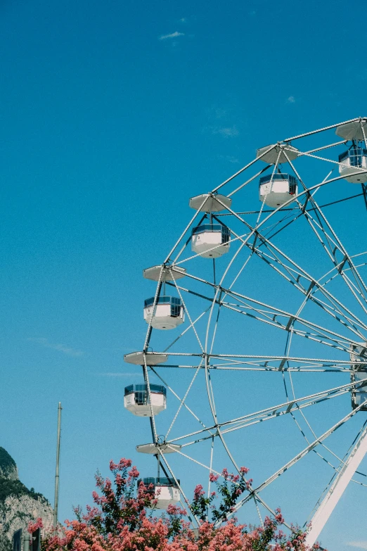 a ferris wheel with flowers growing next to it