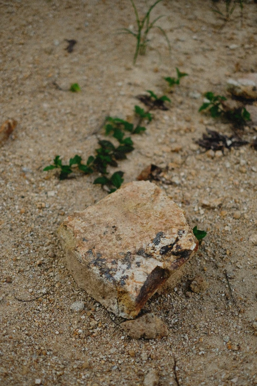 a dirty, broken rock sitting in the middle of a dirt field