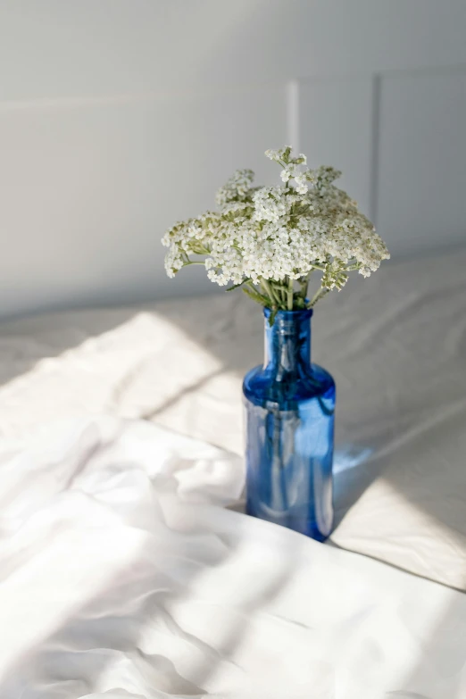 there is white flowers in a blue vase