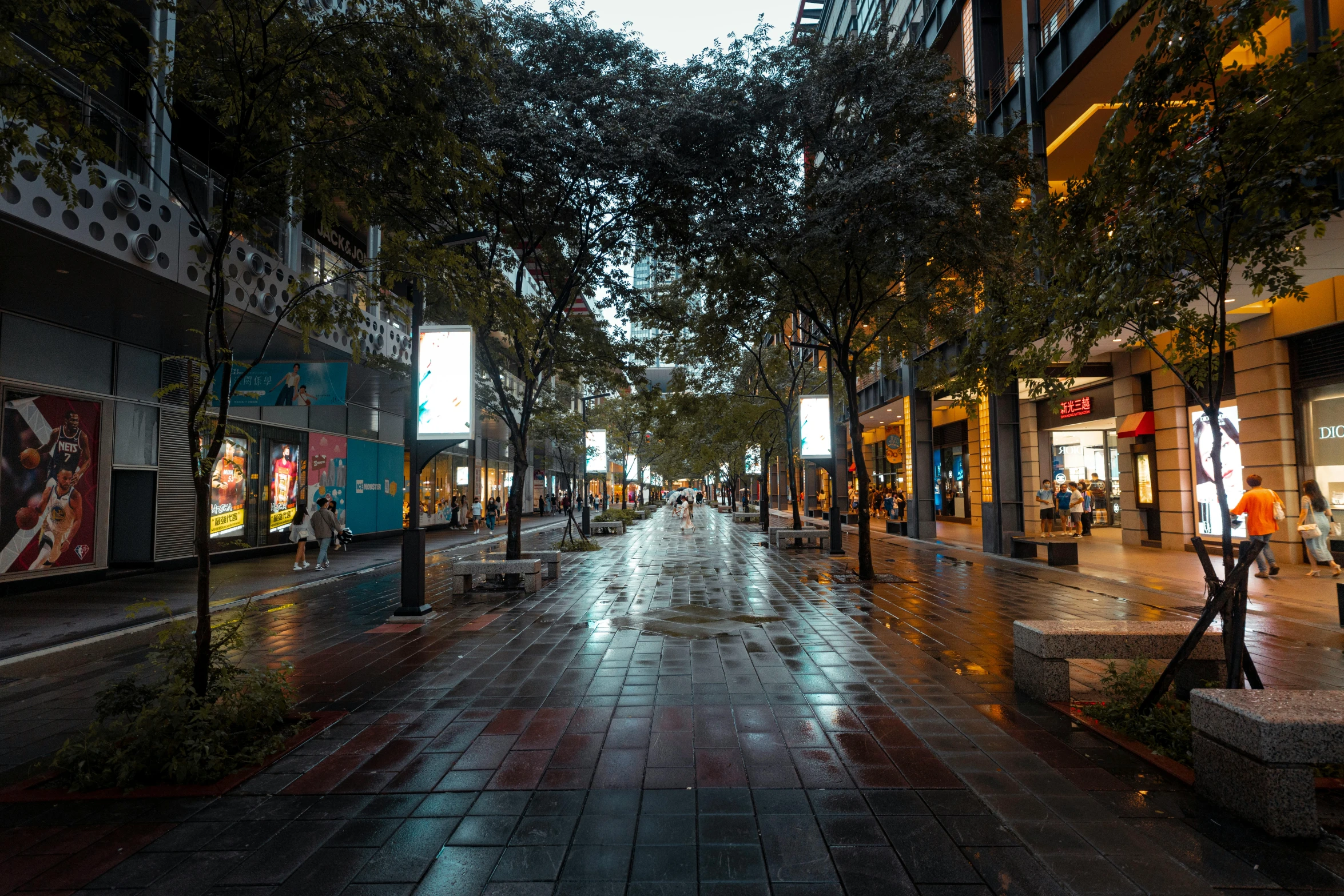 a city street with many stores and trees