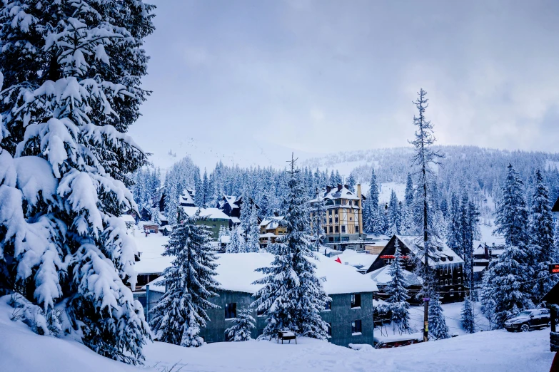 the ski lodge is surrounded by snowy trees