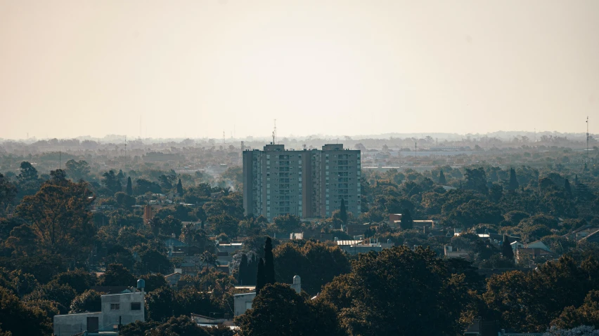 a large tree covered city sits in front of buildings